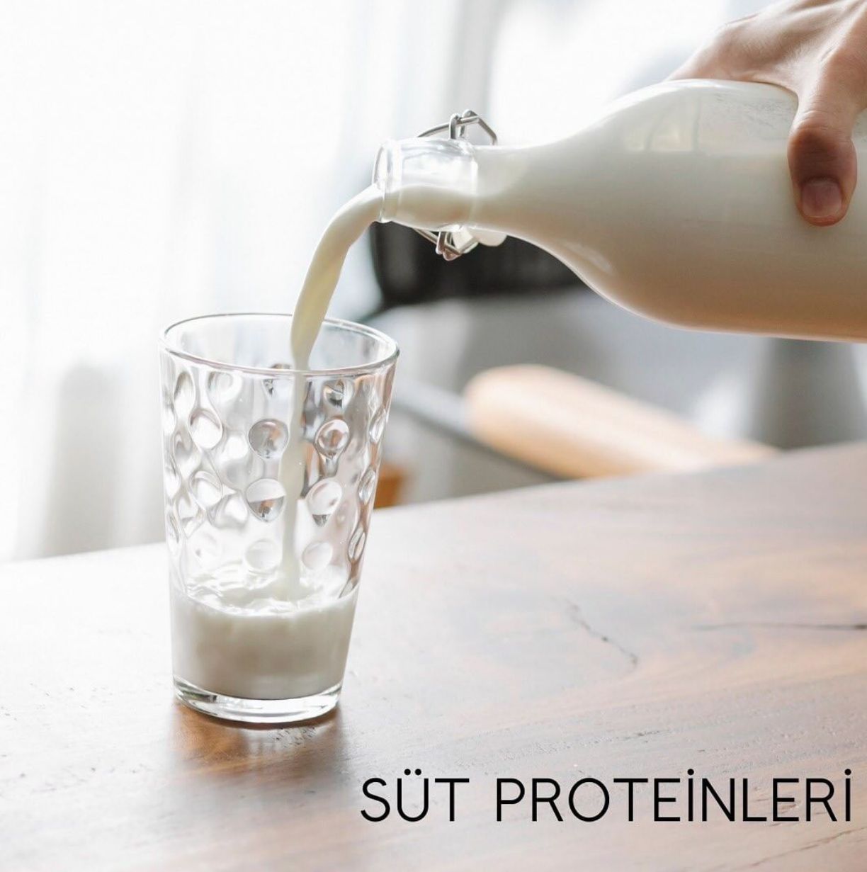 Süt Proteinleri